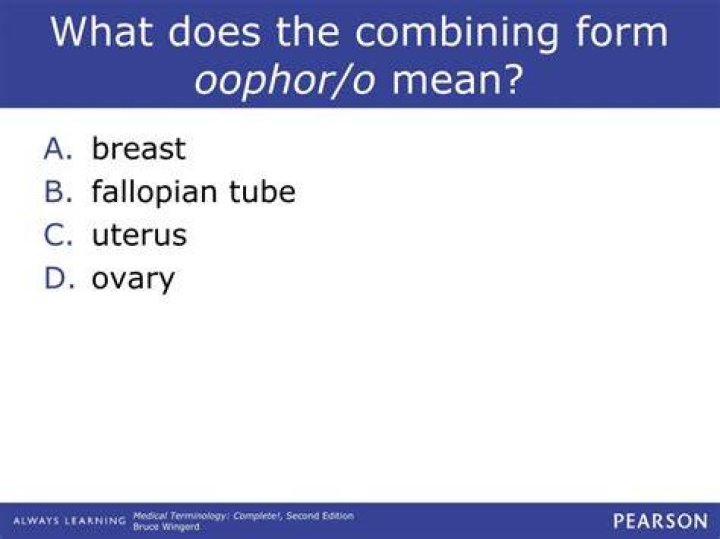 What does Oophor mean